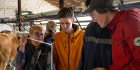 Студенты группы Б-ЗТ-201: практические занятия в УНПО «Муммовское» - Вавиловский университет