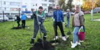 В Башкирии появилась Аллея семьи - Башинформ