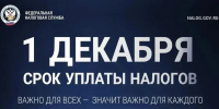 Жителям Альметьевского района — о сроке уплаты имущественных налогов - Альметьевский район