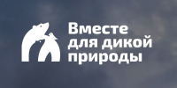 img - Политехнический колледж