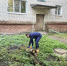 Субботник в Центральном округе. - Город Курск