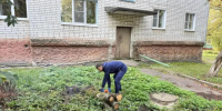 Субботник в Центральном округе. - Город Курск