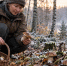 Ночью ударил первый заморозок, а утром грибы стоят целыми: можно ли брать их в корзину после холода - Prochepetsk.ru