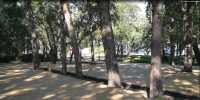 Прогулочную зону благоустраивают на улице Пограничной в Петропавловске-Камчатском по поручению губернатора Владимира Солодова - Правительство Камчатского края