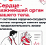 28 сентября по 4 октября Неделя ответственного отношения к сердцу - Аларский район