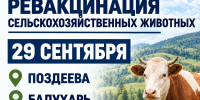 Важная информация для владельцев сельскохозяйственных животных. - Администрация Черемховского района