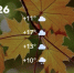 Screenshot - ЗА Новомосковск
