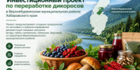 Перспективное направление для инвестирования в Верхнебуреинском муниципальном районе - Верхнебуреинский район