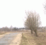 Орловец пожаловался на дороги в селе Петушки - OrelGrad.Ru