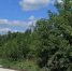 В Мичуринском округе ремонтируют дороги - Michurinsk68.Ru