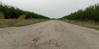Саратовский регион арендует 100 дорожных камер за 1,37 миллиарда рублей - Газета Репортер