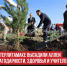 пост 3 - Cityopen.ru