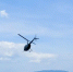 Фото: Diman_Diver/Shutterstock/Fotodom - Ямал-Медиа