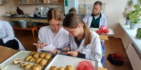 Брянские ученые создают цифровую базу самых стойких сортов картофеля - Газета Брянские новости