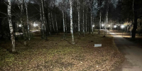 В мэрии Ярославля обещают вернуть свет в Павловскую рощу - YarNews.Ru