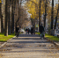 Фото: ПАИ - InformPskov.Ru