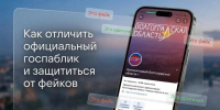 Волгоградцам объяснили, как отличить официальный госпаблик от фейковой страницы - Волга-Медиа