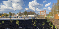 Омутнинск возвращает себе зеленый облик - MyOmutninsk.Ru