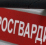 В Тульской области росгвардейцы за неделю пресекли более 44 нарушений - ИА Тульские новости