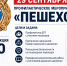 29 сентября 2026 года на территории Южного административного округа города Москвы сотрудники Госавтоинспекции проведут профилактическое мероприятие «Пешеход» - Район Братеево