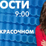 Новости Петербурга к 9:00 - tvspb.ru - ТК Санкт-Петербург