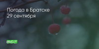 Поделитья во ВКонтакте - Братская Студия Телевидения