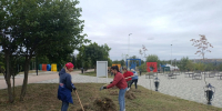 В Молодёжном парке села Александровского прошёл субботник. - Александровский муниципальный округ