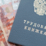 22 тысячи жителей Новосибирской области трудоустроили в 2026 году - КП-Новосибирск