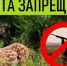 Охота приостановлена с 28.09.2026 по 10.10.2026 (включительно). - Спас-Деменский район