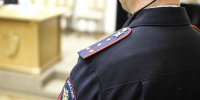 В Одинцово приезжий выращивал коноплю: ему грозит реальный срок - Вести Подмосковья