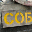 В Свердловской области при силовой поддержке СОБР Росгвардии задержан обвиняемый в убийстве, совершённом в 2000 году - Росгвардия