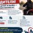 Памятка для родителей об управлении правление транспортными средствами несовершеннолетними - Администрация г. Рубцовск