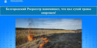 Белгородский Росреестр напоминает, что пал сухой травы запрещен!. - Ракитянский район