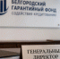 Информация о Белгородском гарантийном фонде содействия кредитованию. - Борисовский район