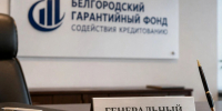 Информация о Белгородском гарантийном фонде содействия кредитованию. - Борисовский район