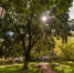 Сад Мариинского дворца в 2026 году посетили 27,5 тыс. человек - Законодательное собрание