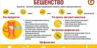 Всемирный день борьбы с бешенством - Роспотребнадзор