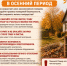 ДЕНЬ ДОБРА И УВАЖЕНИЯ «Международный день пожилых людей!» - Суровикинское городское поселение