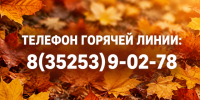 Сегодня в Шадринске будет работать горячая линия по запуску отопительного сезона. - Администрация г. Шадринска