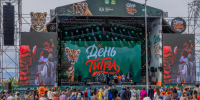 День тигра - Prim.News