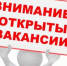 Актуальные вакансии уже здесь! - Илишевский район