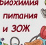 Подведены итоги конкурса наглядных материалов «Биохимия питания и ЗОЖ» - ОмГМУ