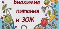 Подведены итоги конкурса наглядных материалов «Биохимия питания и ЗОЖ» - ОмГМУ