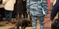 В Краснодаре третьи сутки ищут пропавшего после прогулки 15-летнего подростка - ИА Общественная служба новостей