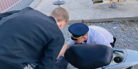 Без прав, без шлема, пятеро за рулем. В Новороссийске поймали больше 20 подростков-мотоциклистов - Газета Новороссийский рабочий