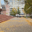 Фото: News29 - News29.Ru