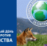 Бешенство: диагностика, профилактика, ответственность - Тверская МВЛ