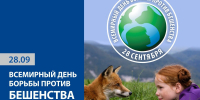 Бешенство: диагностика, профилактика, ответственность - Тверская МВЛ