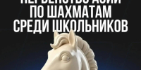 В Тульской области пройдет Первенство Азии по шахматам среди школьников - Молодой коммунар