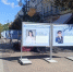 Познакомиться с представителями курортной сферы полуострова можно, гуляя по центру города. - Крымская правда